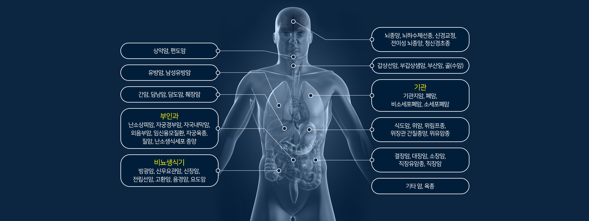 시술 부위