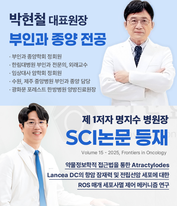 팝업 이미지