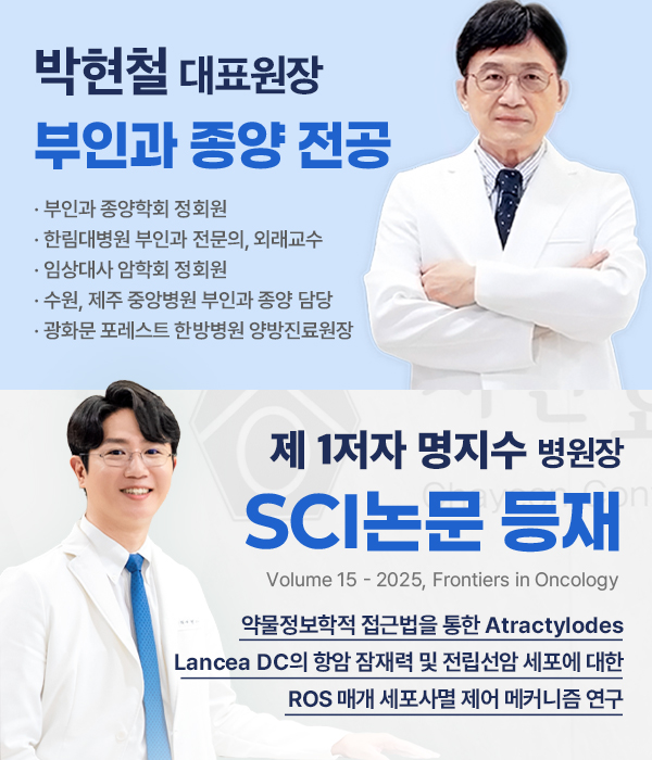 팝업 이미지